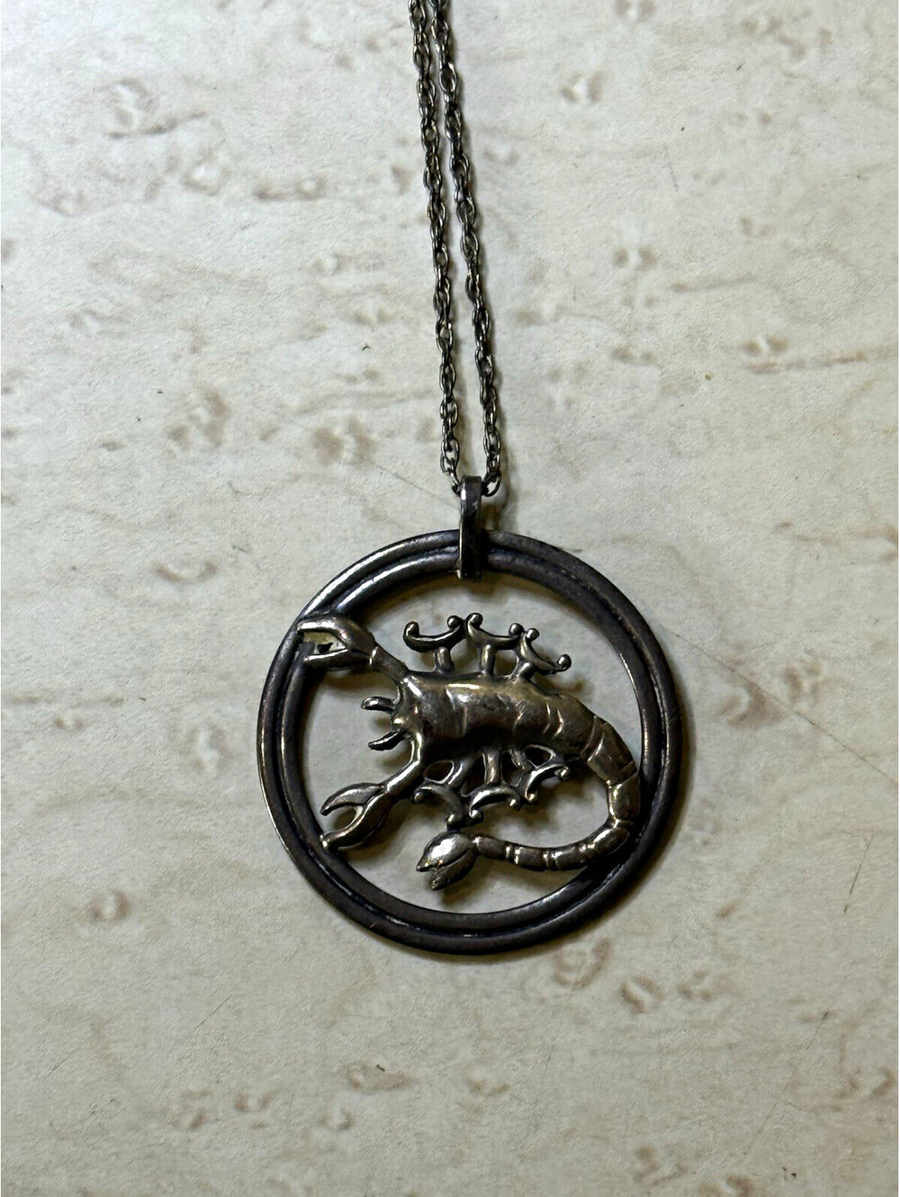 Vintage Van Dell Sterling Silver Scorpio Scorpion Pendant Necklace 19โ Signed